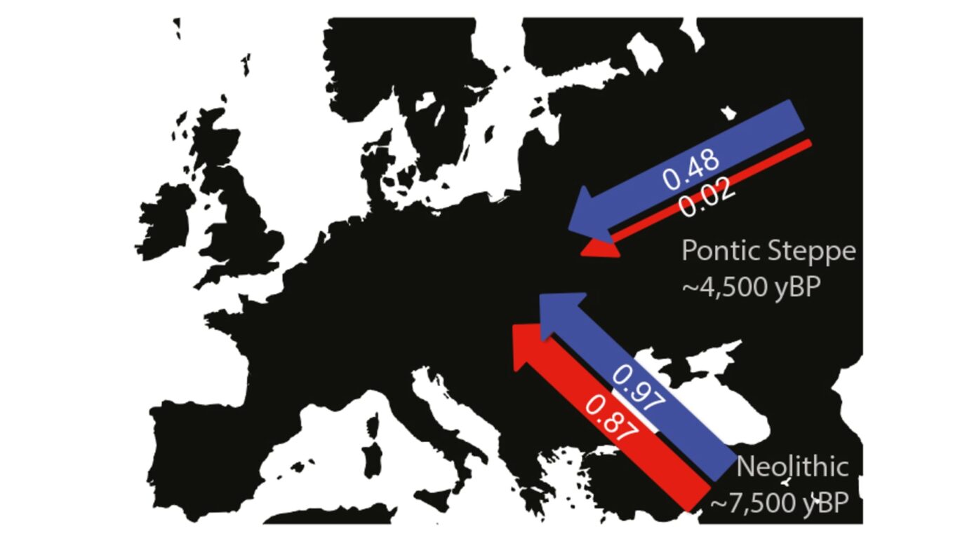 Ancient X chromosomes reveal contrasting sex bias in Neolithic and Bronze Age Eurasian migrations