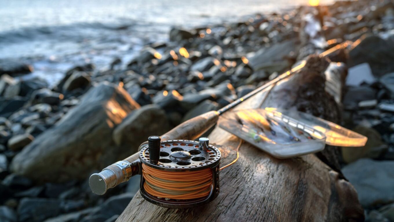 Lab retreat, or “How to learn fly fishing”