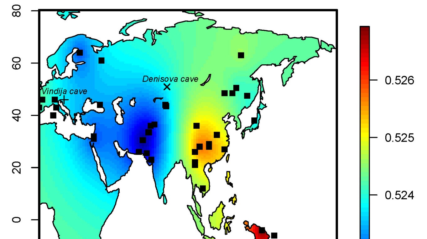 Archaic human ancestry in East Asia