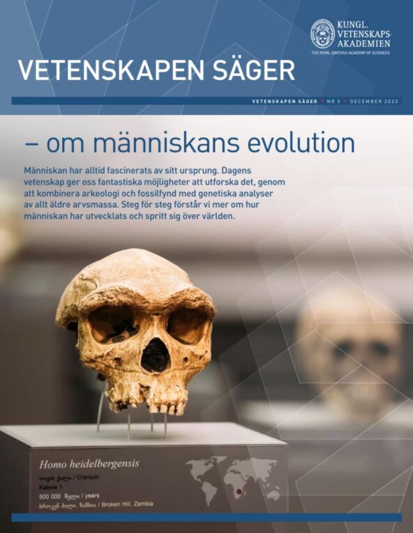 Explaining human evolution: Ny populärvetenskaplig skrift berättar om människans evolution (Swedish)